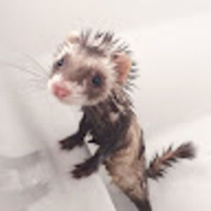 Meet your Posher, Mariana